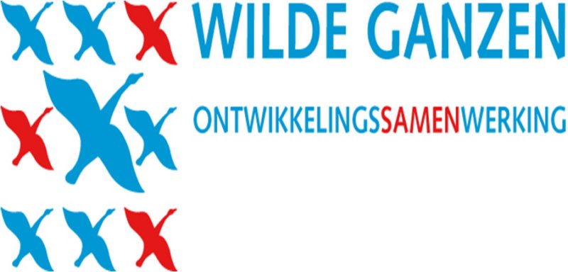 wildeganzen.jpg